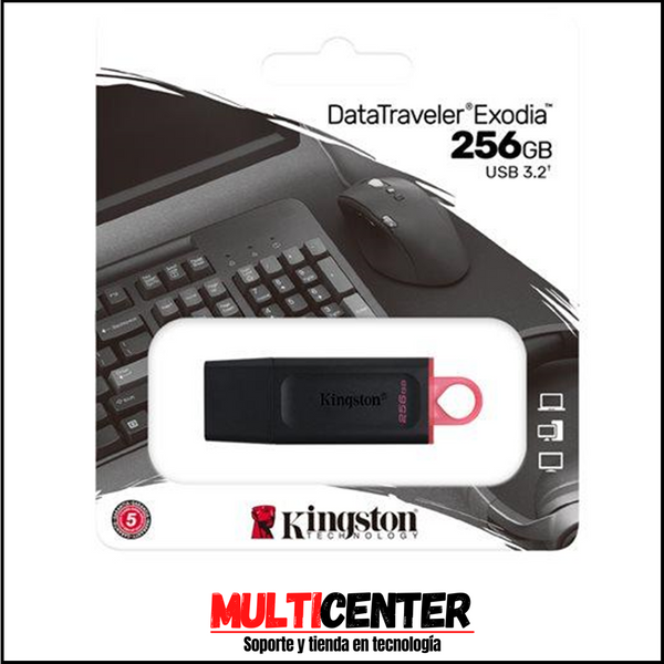 Kingston DataTraveler Exodia - Unidad flash USB - 256 GB